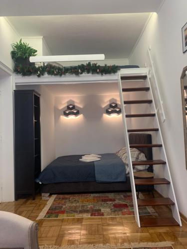 a bedroom with a bunk bed and a ladder at Old Town City Center in Belgrade