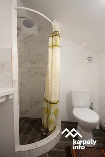 a bathroom with a shower curtain and a toilet at Hammam Spa Villa DAROSO in Kosiv