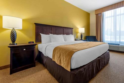 a hotel room with a large bed and a window at Comfort Inn & Suites in Dover