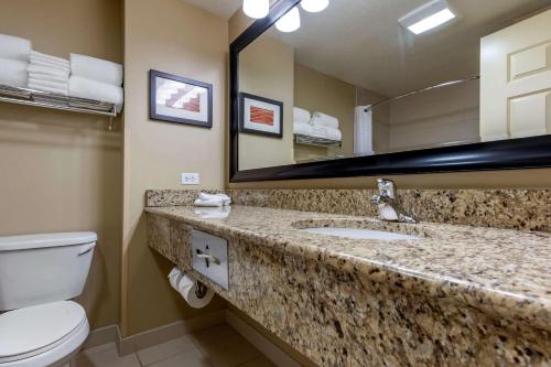 een badkamer met een wastafel, een toilet en een spiegel bij Comfort Inn & Suites in Dover