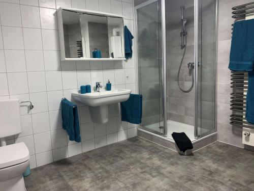 a bathroom with a sink and a shower at Ferienwohnung Gaussblick in Dransfeld