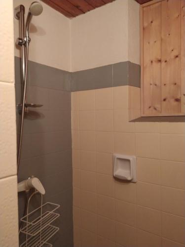 La salle de bains est pourvue d'une douche, de toilettes et d'une armoire. dans l'établissement La Ferme des Michaud, à Combloux