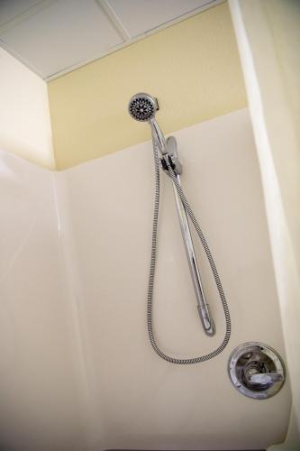 a shower head on the ceiling of a bathroom at Cobblestone Inn & Suites - Forest City in Forest City