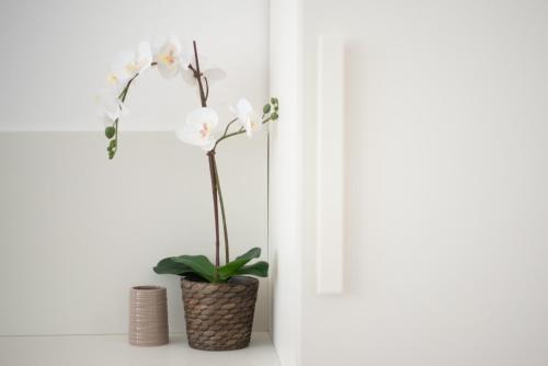 a white orchid plant in a vase next to a door at Redi Suite in Bari