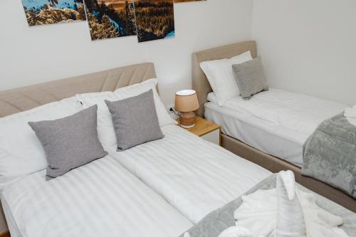 two beds sitting next to each other in a room at Apartman Amsterdam Jahorina in Jahorina