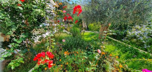 a garden with colorful flowers and trees at LIvadi Studios with Pool in Lákka