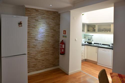 eine Küche mit einer Ziegelwand und einem Feuerlöscher in der Unterkunft Apartamento Chiado Carmo 53 in Lissabon