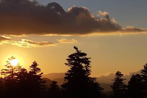 a bird sitting on top of a tree at sunset at Studio dans station de ski aux pieds des pistes in Selonnet