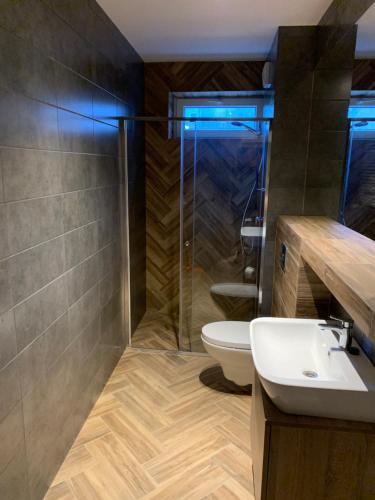 a bathroom with a shower and a sink and a toilet at Kurort Kozubnik Apartament 12 in Porąbka
