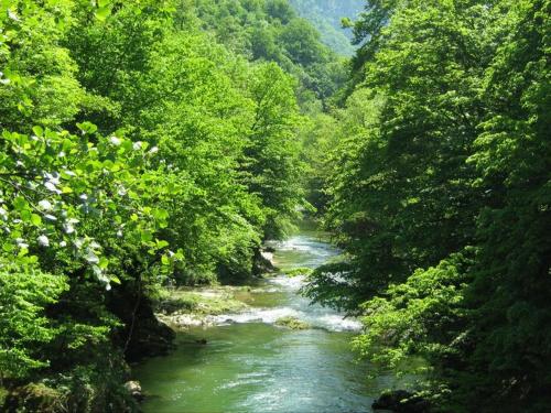 Φυσικό τοπίο κοντά σε αυτός ο ξενώνας