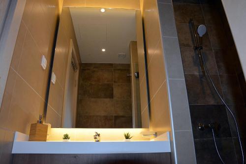 W łazience znajduje się prysznic i umywalka z lustrem. w obiekcie Apartman SREBRNA PAHULjA-Konaci w mieście Kopaonik
