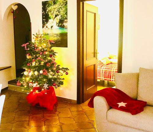 a christmas tree in a living room with a couch at Il Bosco Guest House Subiaco in Subiaco