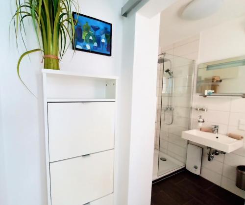 a bathroom with a sink and a shower at BodenSEE Apartment Kressbronn Fischerdorf SEE 1 in Kressbronn am Bodensee