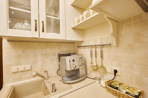 eine Küche mit Kaffeemaschine auf der Theke in der Unterkunft Petrani Central in Kiew