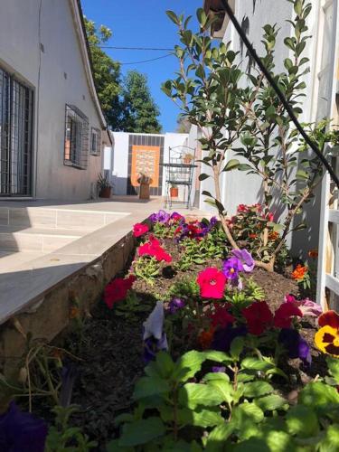 a garden of flowers in front of a building at Casa 57 in Pietermaritzburg