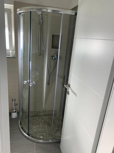 eine Dusche mit Glastür im Bad in der Unterkunft Apartmani Zaton 2 in Zaton