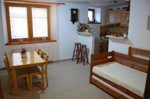 Kuchyň nebo kuchyňský kout v ubytování Apartments Hážovský Dvůr