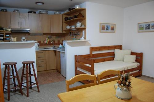 Kuchyň nebo kuchyňský kout v ubytování Apartments Hážovský Dvůr