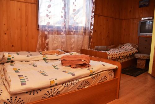 two beds in a room with wooden walls at Guest House Mandrivnyi Rooms&Apartments in Yasinya