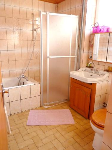 une salle de bain avec une douche, un lavabo et des toilettes dans l'établissement Studio convivial à Gérardmer, 35 m² avec vue sur la montagne, à Gérardmer