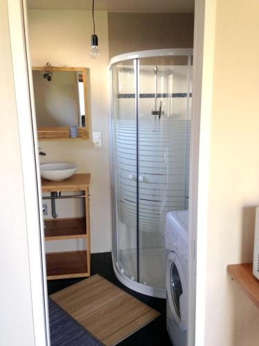 a bathroom with a shower and a washing machine at Maison de 2 chambres avec vue sur la ville jardin clos et wifi a Dainville in Dainville