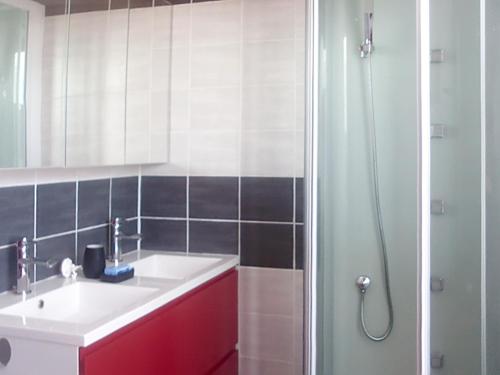une salle de bain avec un lavabo et une douche dans l'établissement Maison cosy à Cléder avec jardin et vélos à disposition, à Cléder