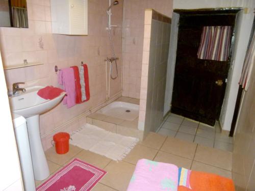 une salle de bain avec une douche, un lavabo et des toilettes dans l'établissement Villa confortable proche d'Ornézan avec piscine privée, à Ornézan