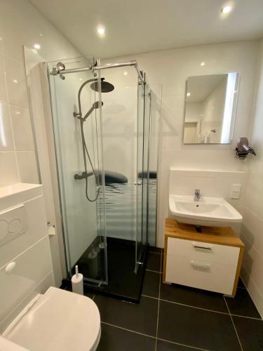 a bathroom with a shower and a toilet and a sink at Apartment End in Heidelberg