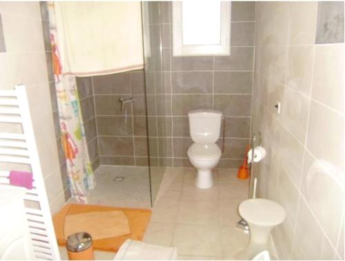 a small bathroom with a toilet and a shower at Maison accueillante à Gabarret, jacuzzi et jardin in Gabarret