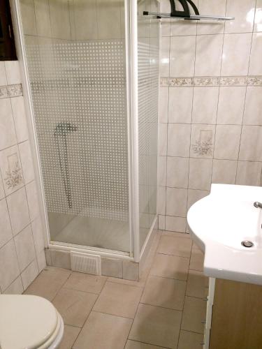 a bathroom with a shower and a toilet and a sink at Appartement lumineux aux Trois-Îlets in Les Trois-Îlets