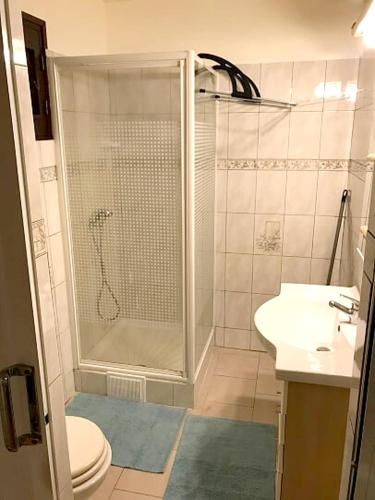 a bathroom with a shower and a toilet and a sink at Appartement lumineux aux Trois-Îlets in Les Trois-Îlets