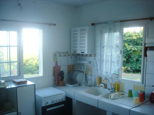 a kitchen with a sink and a stove and two windows at Maison de 2 chambres avec vue sur la mer jardin amenage et wifi a Le Francois a 8 km de la plage in Le François