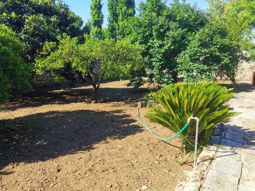 Κήπος έξω από το Welcoming house in Muro Leccese with fenced garden