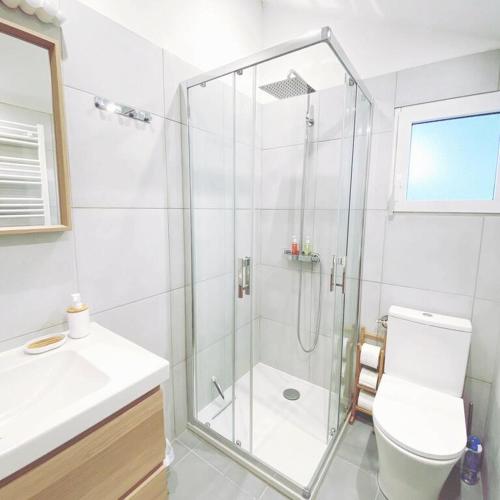 une salle de bain avec une douche avec des toilettes et un lavabo dans l'établissement Maison cosy à Chouzy sur Cisse avec jardin, à Chouzy-sur-Cisse