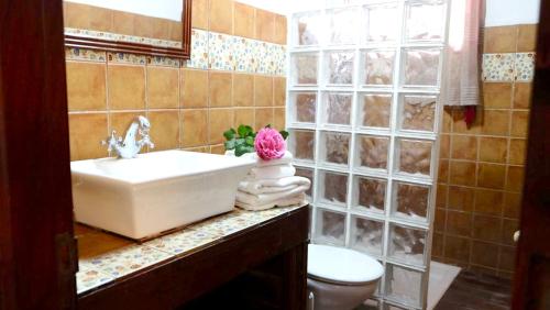 a bathroom with a sink and a toilet at One bedroom appartement with furnished terrace and wifi at Los Silos 5 km away from the beach in Los Silos