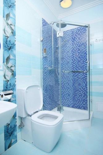Un baño con inodoro y ducha de cristal. en Annabelle отель, en Odessa