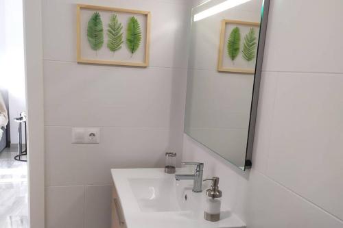 Playa Escollera photo 3