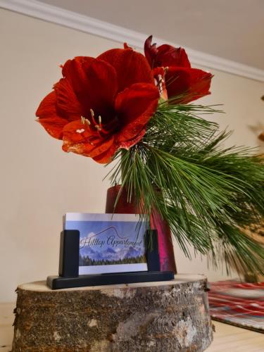 TV a/nebo společenská místnost v ubytování Hilltop Appartement