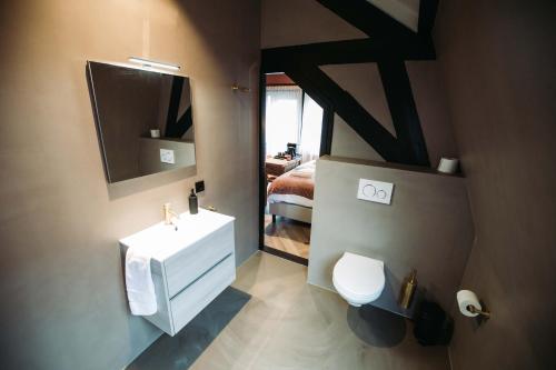 a bathroom with a toilet, sink and mirror at Boutique Hotel Lupo in Vlissingen
