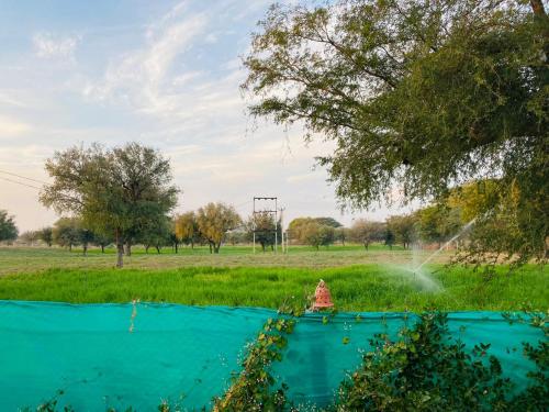 a fire hydrant spraying water in a field at Desert Nights in Mandāwa