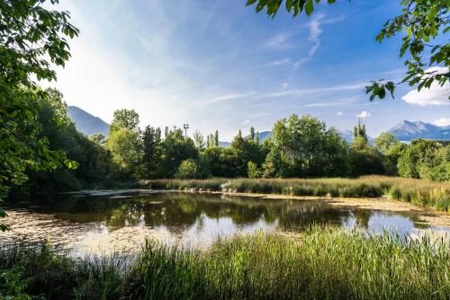 a river with trees and mountains in the background at Hotel Birkenbrunn in Naz-Sciaves