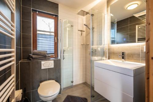 a bathroom with a toilet and a sink and a shower at Ferienhäuser zur Schäferei in Mitwitz