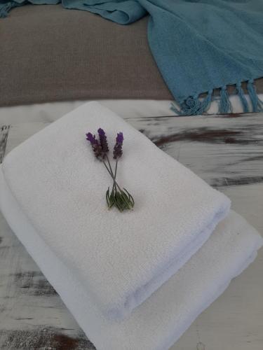 una flor púrpura sentada encima de una toalla blanca en WestBed en Langebaan