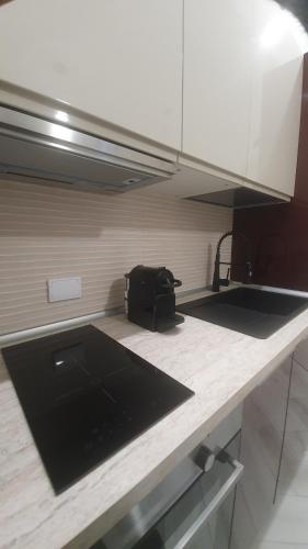a kitchen with a counter with a sink and a stove at b&b 1930 in Rome