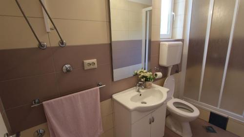 een badkamer met toilet en wastafel bij Apartments Duda in Malinska