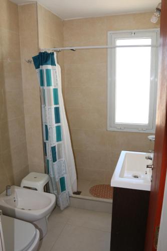 a bathroom with a toilet and a shower and a sink at Departamentos LG in Las Grutas