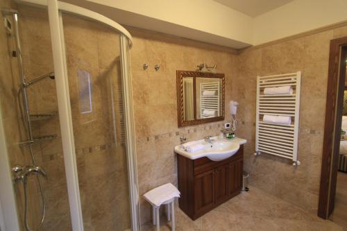 a bathroom with a shower, sink, and toilet at Dolasilla Park Hotel in Vigo di Fassa