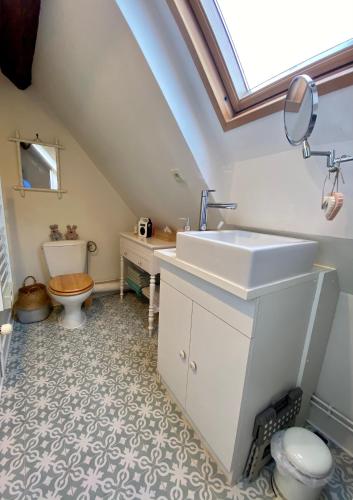 une salle de bain avec un lavabo et des toilettes dans l'établissement La maison de Montaboulin, à Châteauroux