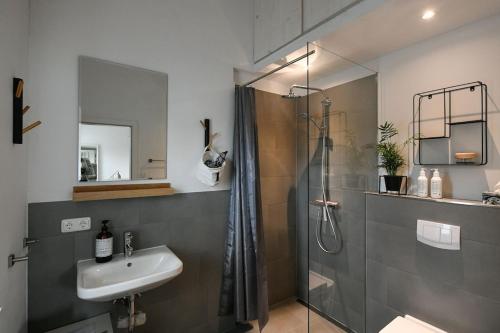 La salle de bains est pourvue d'une douche et d'un lavabo. dans l'établissement Boje 16, à Hambourg