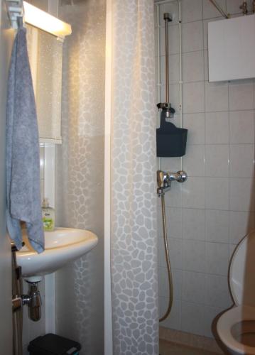 a small bathroom with a sink and a shower at BlueSolarPearl G in Linnavuori